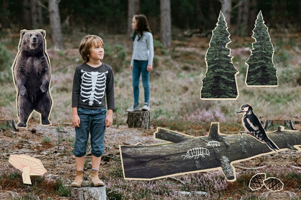 Barns skog har også en interaktiv skogtur hvor barneskolebarn kan lære om skogen artene som bor i den og hvorfor det er viktig for både skogen og artene at vi sorterer.