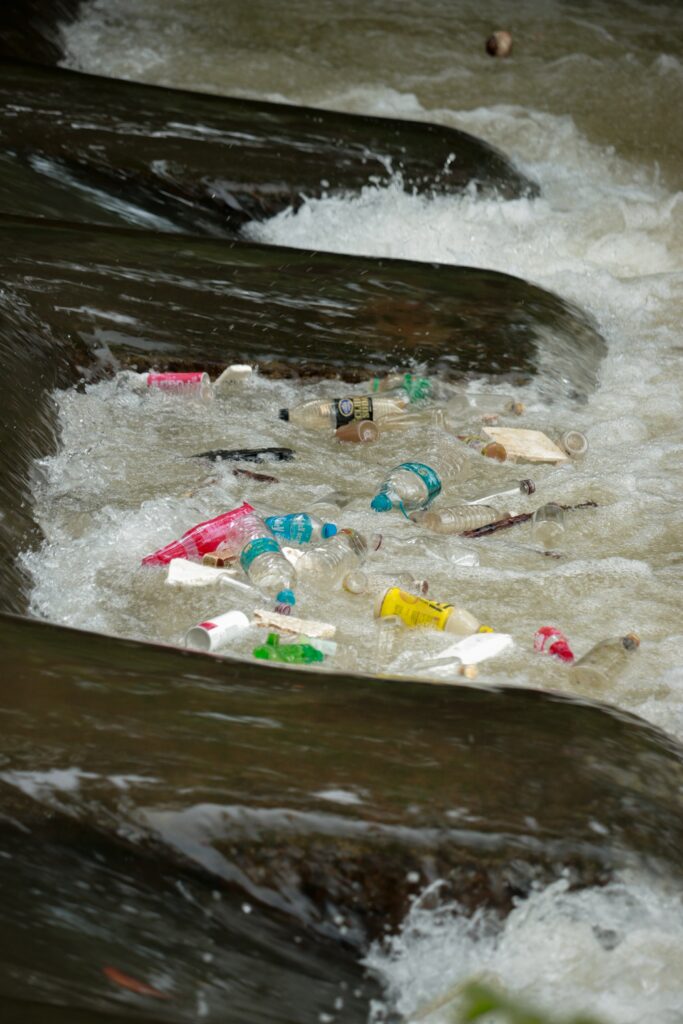 Fortsetter dagens utvikling, sies det at det vil være mer plast enn fisk i havet i 2050.